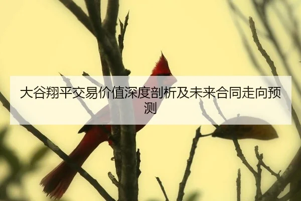 da-gu-xiang-ping-jiao-yi-jia-zhi-shen-du-pou-xi-ji-wei-lai-he-tong-zou-xiang-yu-ce-3-617.jpg