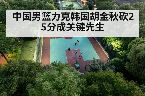 Chinese basketball player